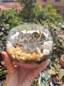 WhatsApp Image 2026-02-04 at 21.41.20