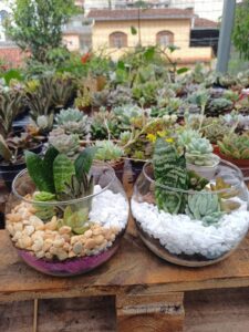 WhatsApp Image 2026-02-04 at 21.41.20(1)