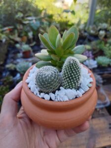 WhatsApp Image 2026-02-04 at 21.44.45