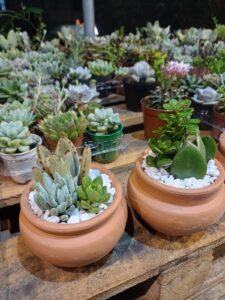 WhatsApp Image 2026-02-04 at 21.44.45(1)