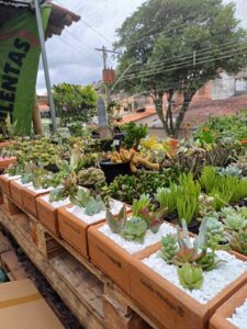 WhatsApp Image 2026-02-04 at 21.45.22(1)