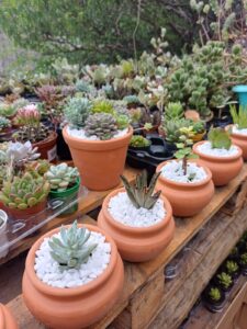 WhatsApp Image 2026-02-04 at 21.45.22(2)