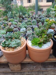 WhatsApp Image 2026-02-04 at 21.57.40