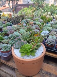 WhatsApp Image 2026-02-04 at 21.57.40(1)