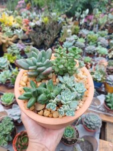 WhatsApp Image 2026-02-04 at 21.57.41(1)